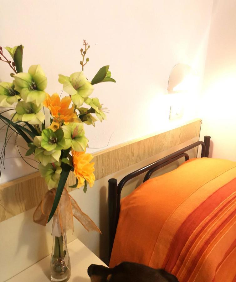 Single Room,1085272363:JPEG