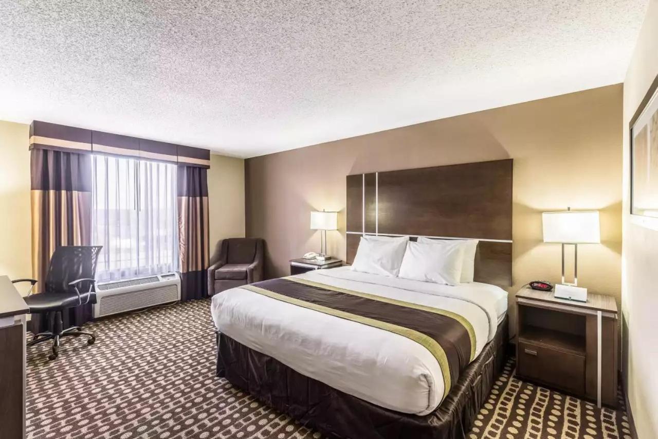 King Room,1281504277:JPEG