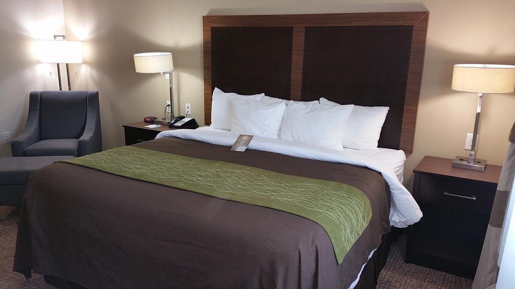 King Room,129435159:JPEG