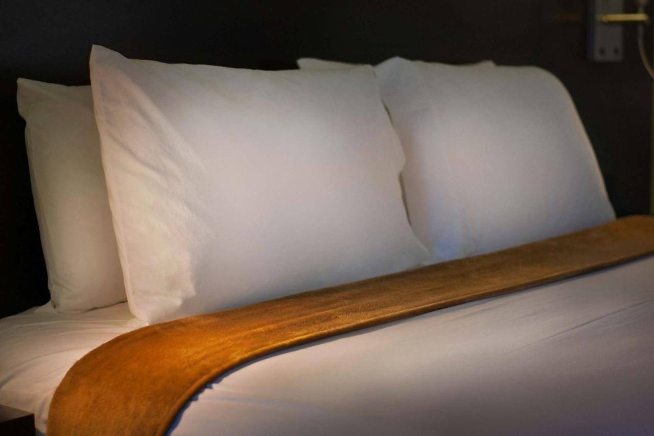 Large Single Room,1296915523:JPEG