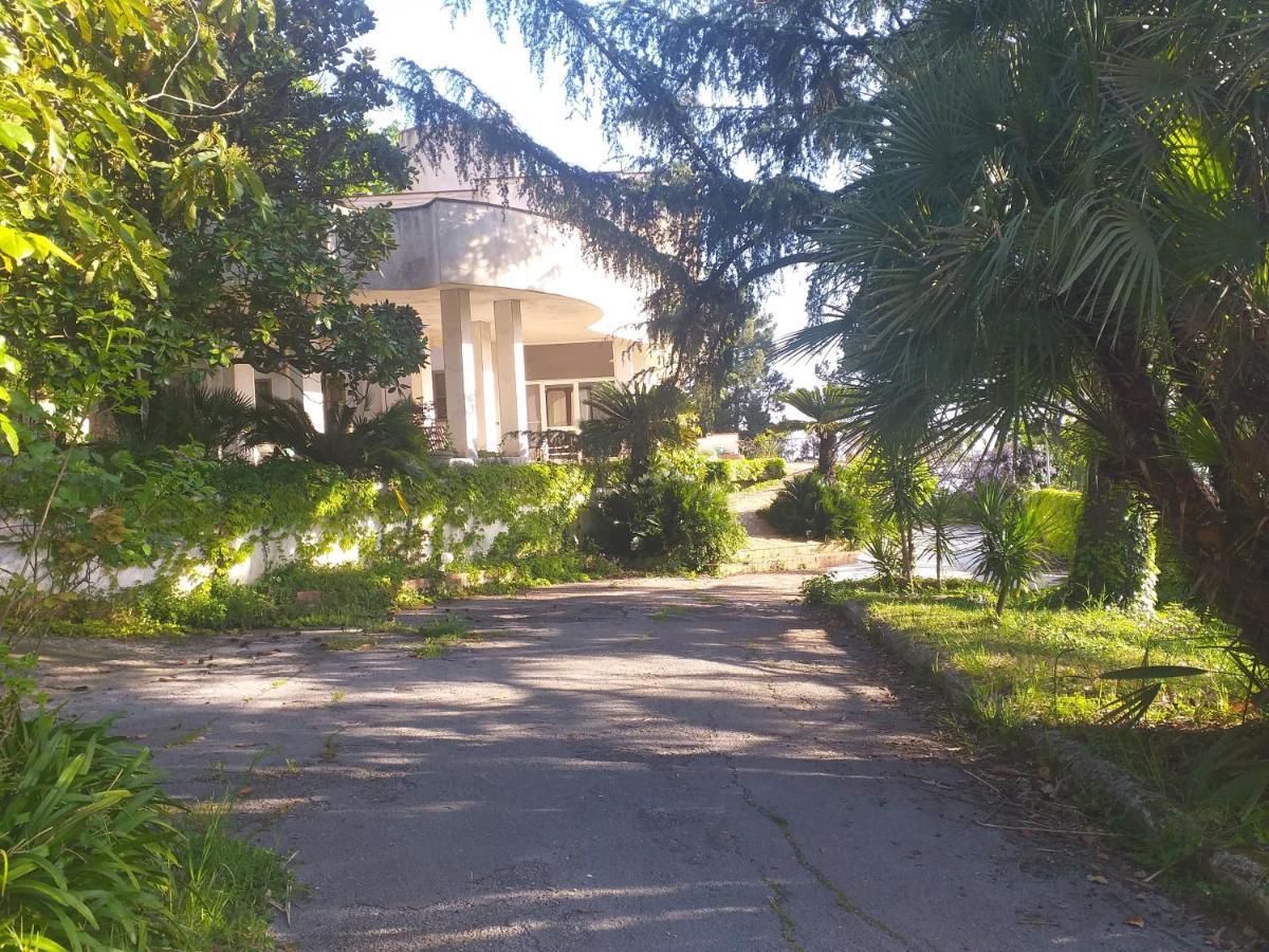 Holiday Home,1389977609:JPEG