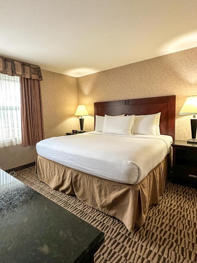 Deluxe King Suite,1499058748:JPEG