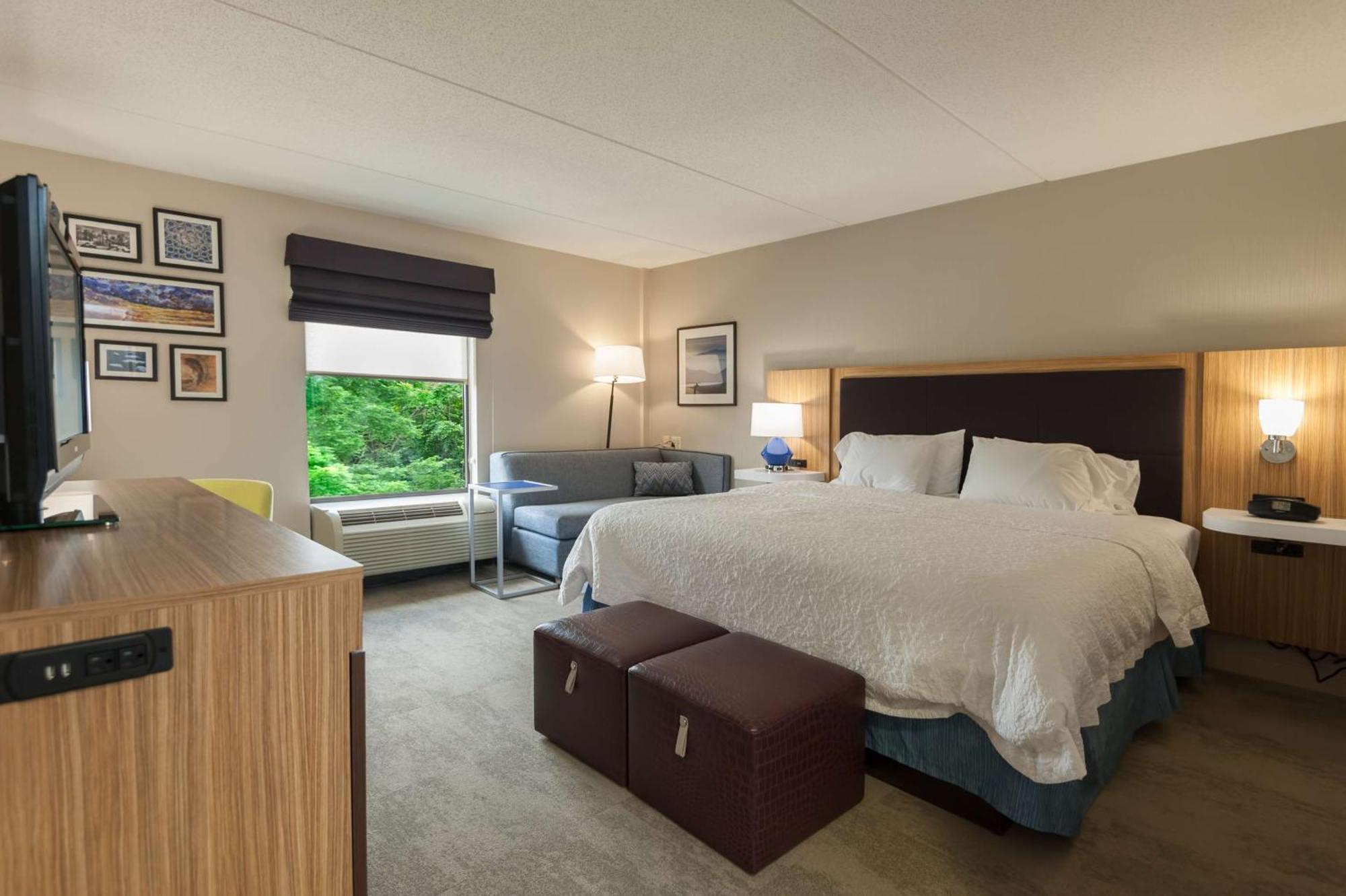 King Room,1534267351:JPEG