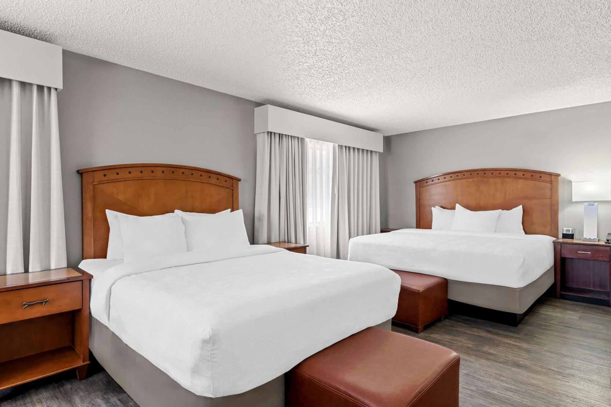 Large Suite with Kitchen - Non-Smoking