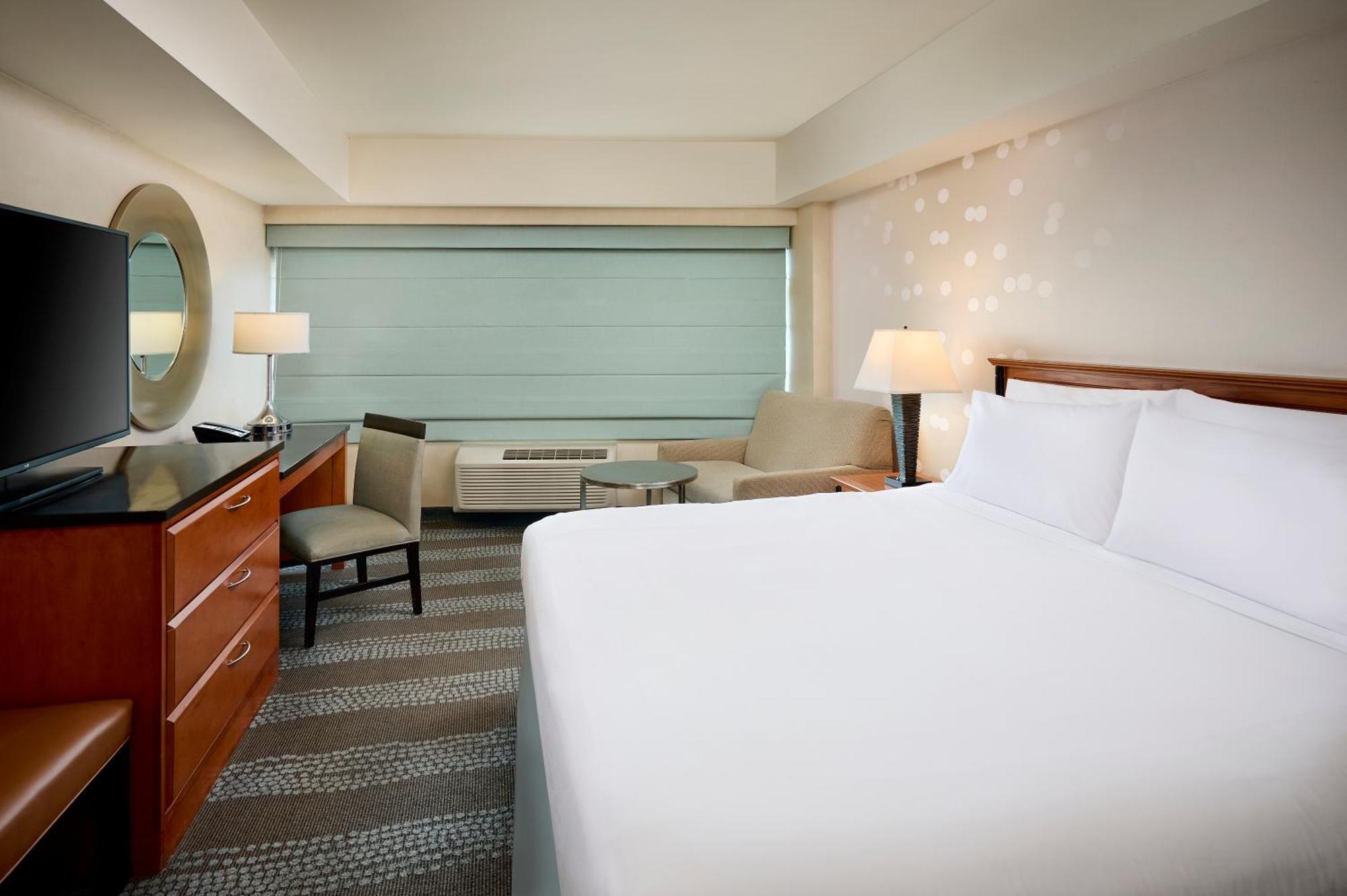 King Suite with Sofa Bed,1643757102:JPEG