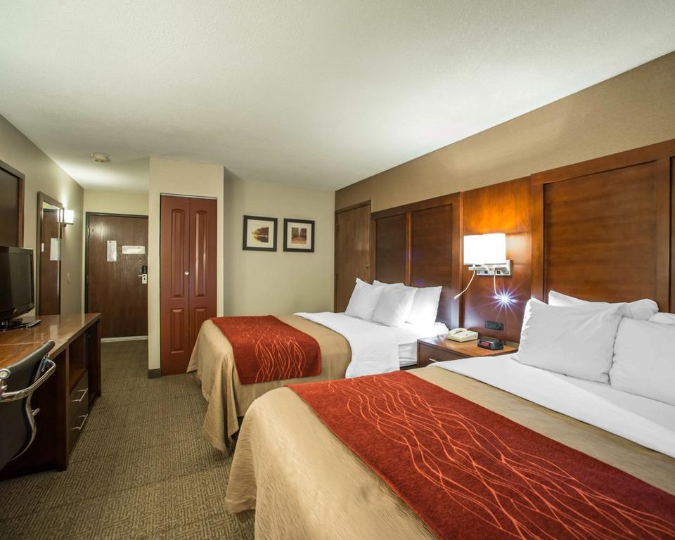 Standard Queen Room with Two Queen Beds - Non-Smoking
