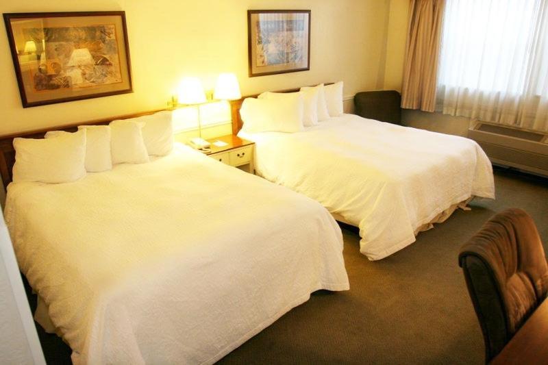 Queen Room with Two Queen Beds - Non-Smoking,1281802771:JPEG