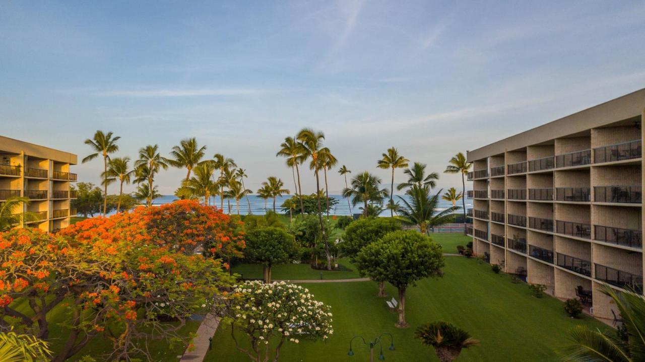 Premium One-Bedroom Apartment with Partial Ocean View,753344411:JPEG