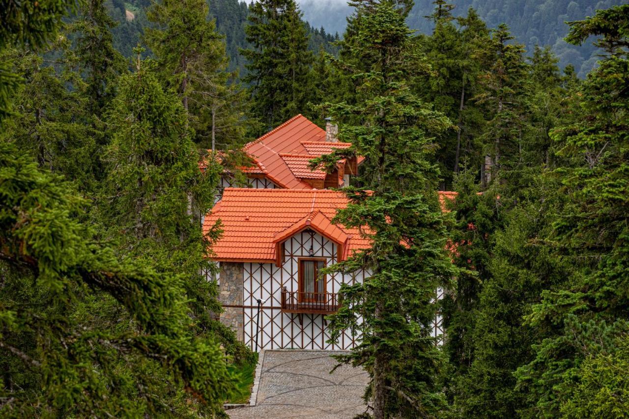 Superior Villa,939409048:JPEG