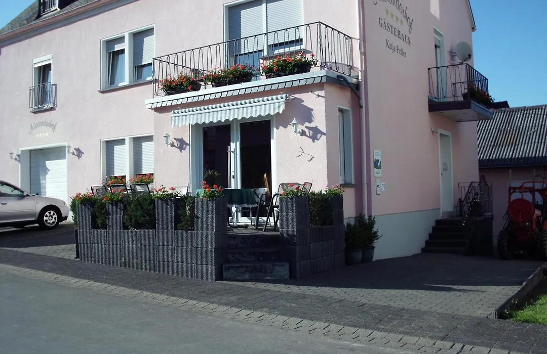 Gästehaus Alexanderhof-1
