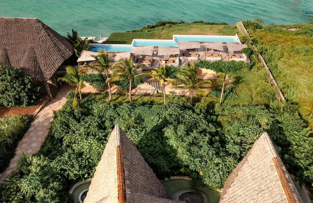 Bamboo Zanzibar-1