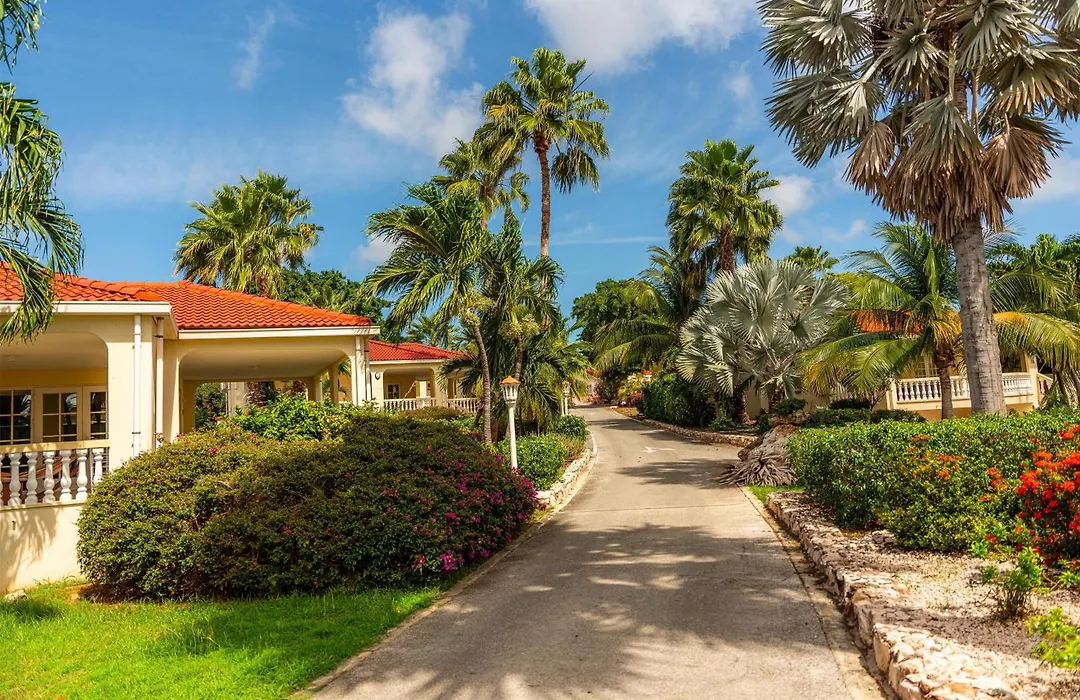 Sonesta Hotels & Resorts Livingstone Curacao-1