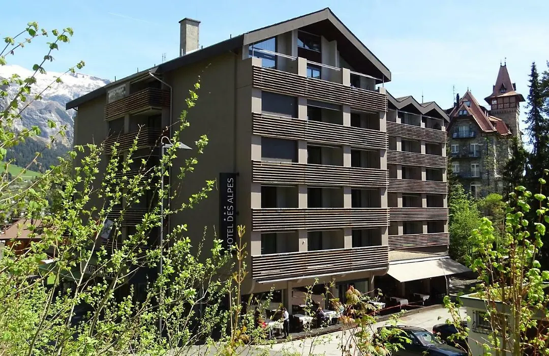 Hotel Des Alpes-1