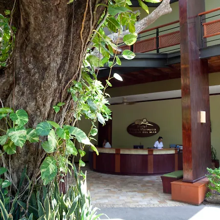 Hotel Bosque Del Mar Playa Hermosa-2