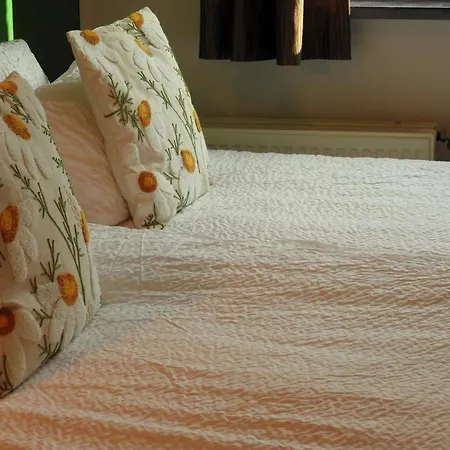 Guesthouse De Wissen-3