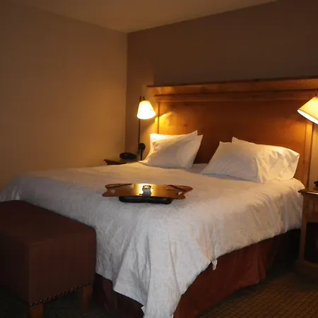 Hampton Inn & Suites Buffalo-2