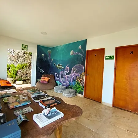 The Rock House Eco (Adults Only)-3