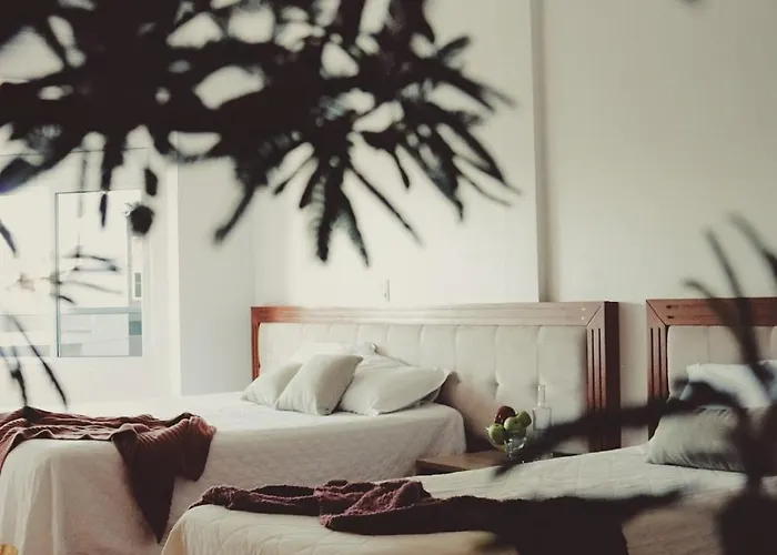 Hotel Solaris