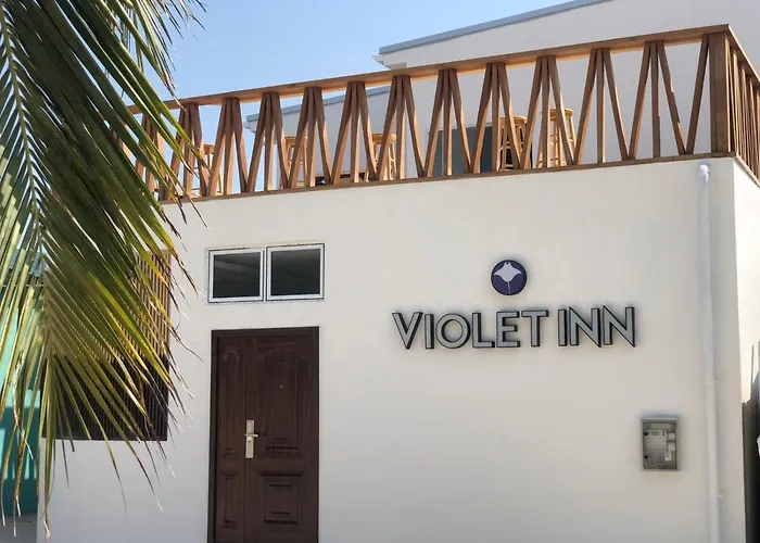 Violet Inn Hotel