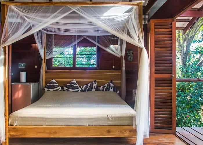 Funky Monkey Lodge