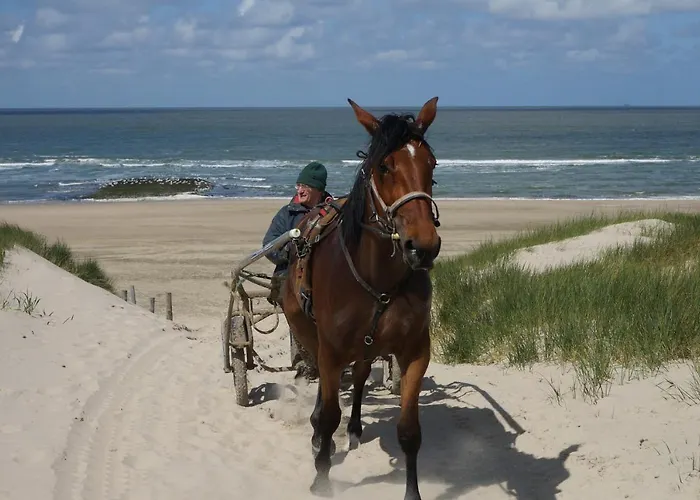 Bed & Breakfast Aan Zee Callantsoog