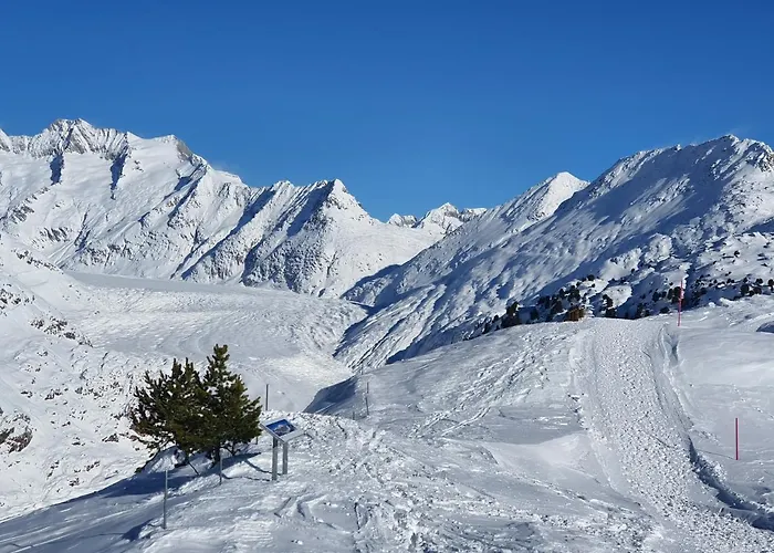 Apartment Alouette Riederalp