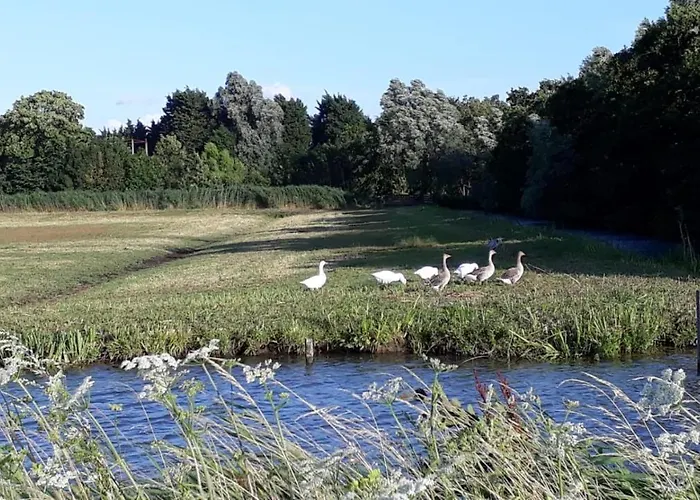 B&B Bij Tante Teun