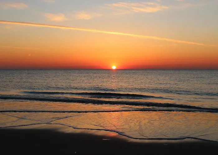 Sea More