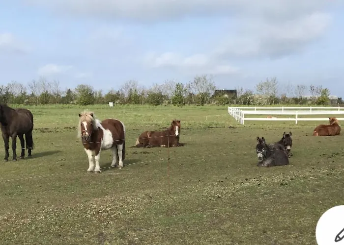 Bed & Bath Taet Pa Nationalpark Vadehavet