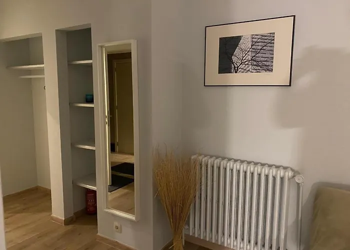 Spacious Studio
