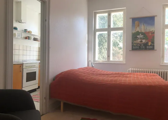Lejlighed I Hjertet Af Ribe