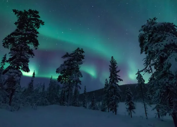 Arctic Skylight Lodge