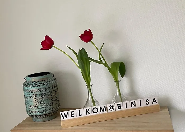 B&B Binisa