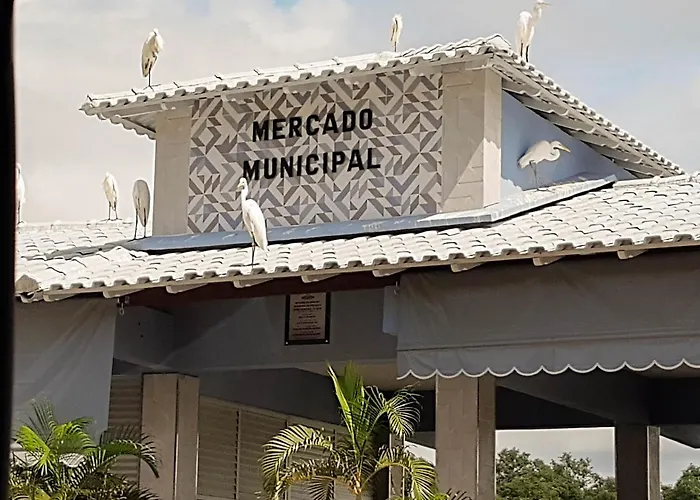 Ótimo apartamento na Praia dos Castelhanos com Wi-Fi