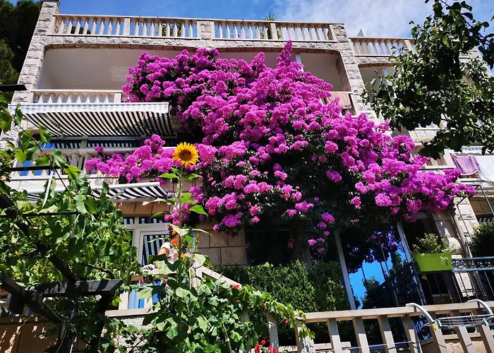 Villa Bose