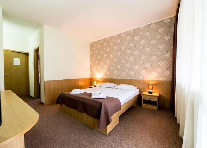 Hotel Muresul Health Spa