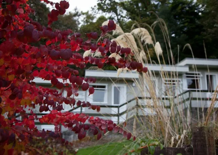The Arran Lodge & Arran Sleep Huts