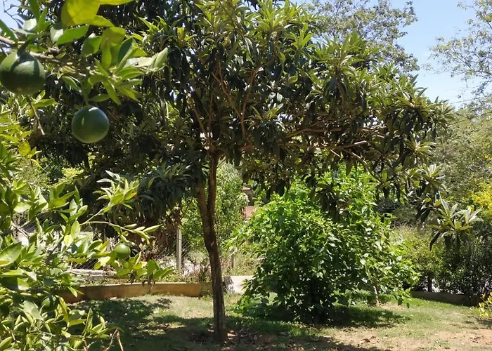 Casa Lot Fechado, Churrasqueira, Piscina, Toboágua, parque para crianças , Internet