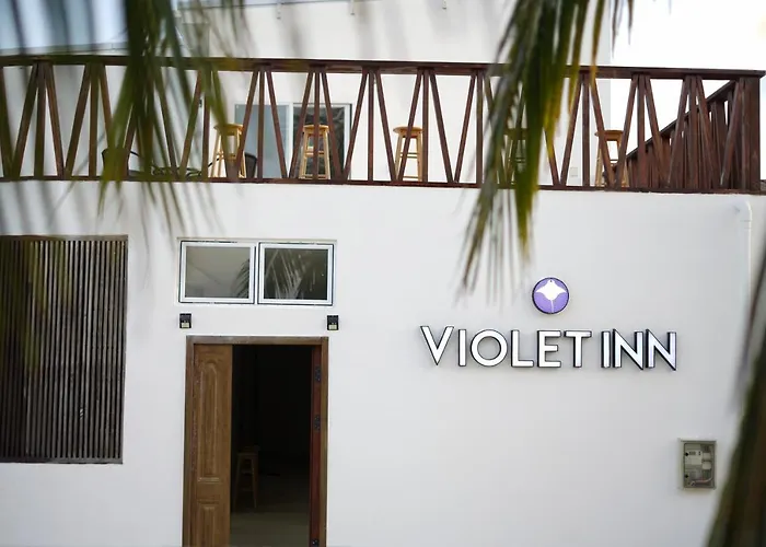 Violet Inn Hotel