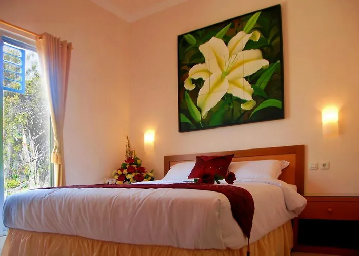 Hotel Flamboyan