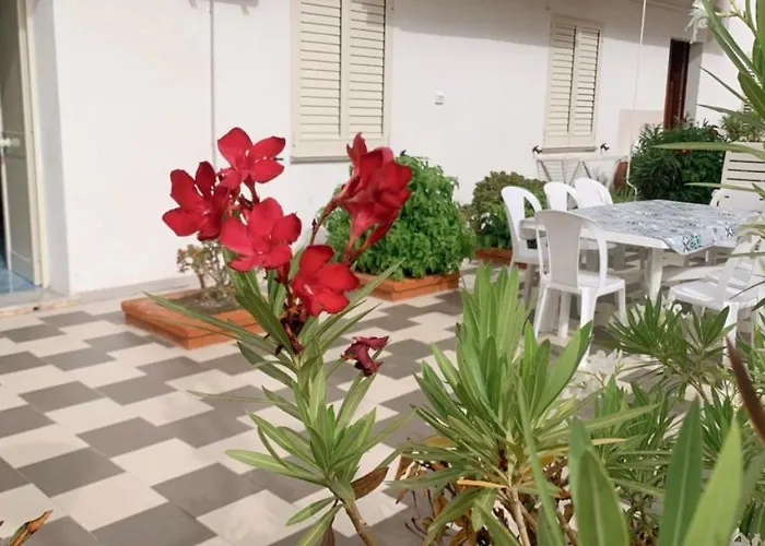 TEA Isola Dino - HOTEL&HOME - Praia a Mare