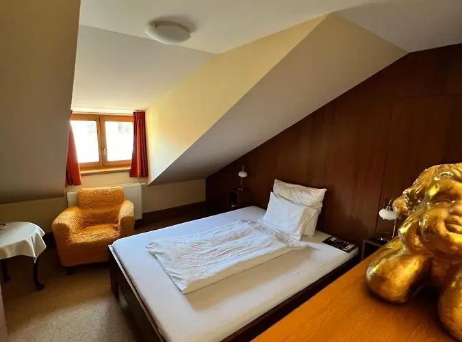 Hotel Maxi