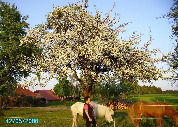 Gestehof Hetzenberg