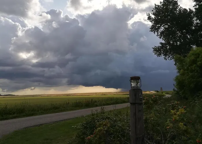 In De Boomgaard