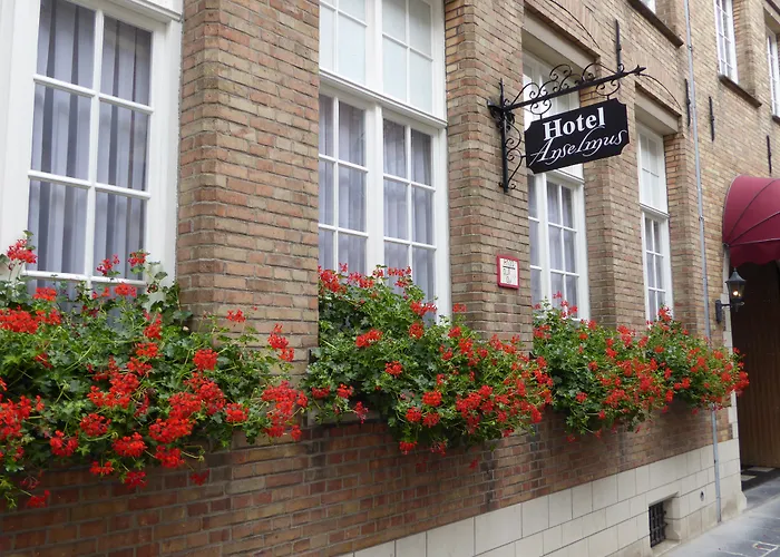 The Black Swan Hotel