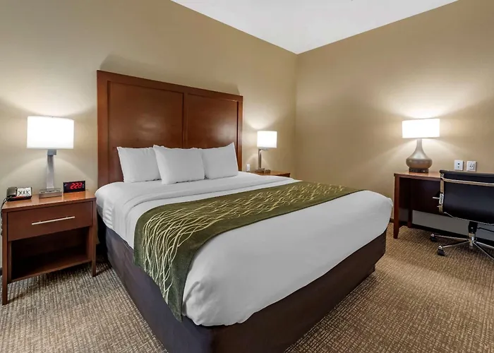 Comfort Inn & Suites Pittsburgh South