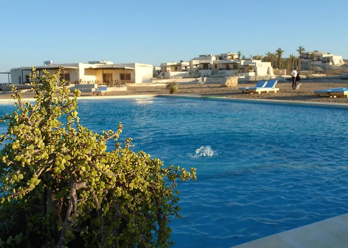 The Oasis