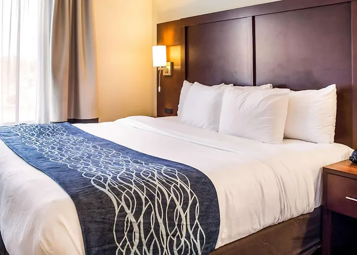 Comfort Inn & Suites Niagara Falls Blvd Usa