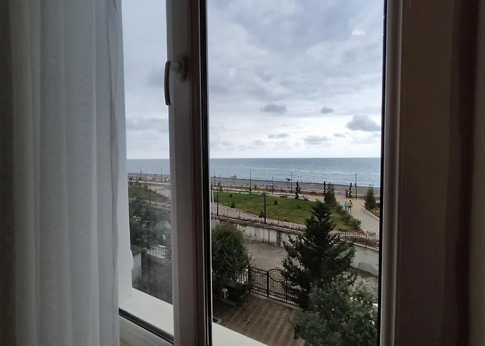 Guesthouse White Swan