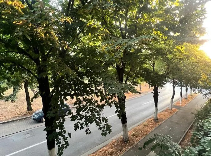 Miha Modern And Central Apartament Malul Muresului